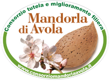 Carica l'immagine nel visualizzatore di Gallery, Avola Pelata LETIZIA 38